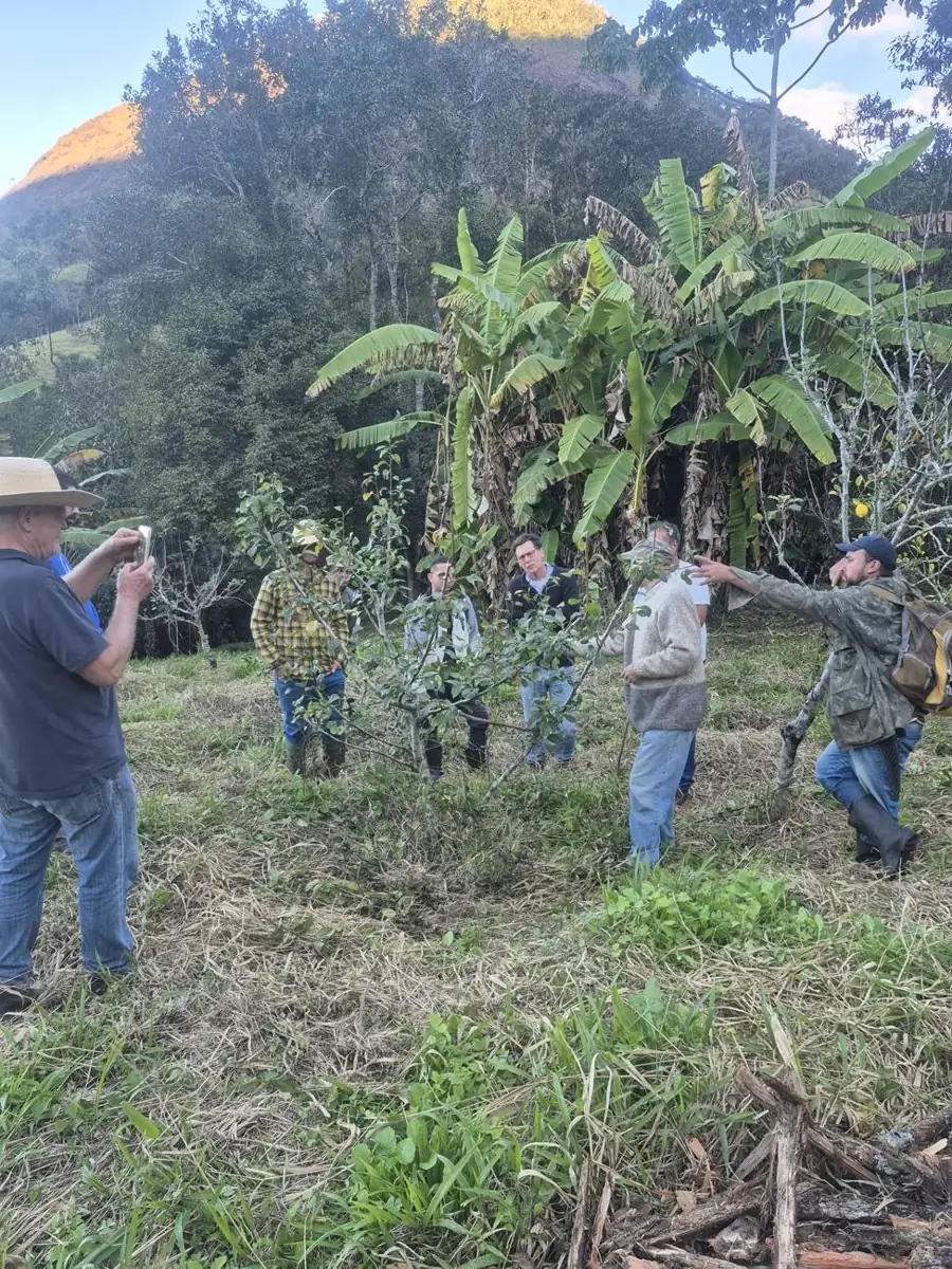 Turma em aula prática na agrofloresta, com a serra ao fundo
