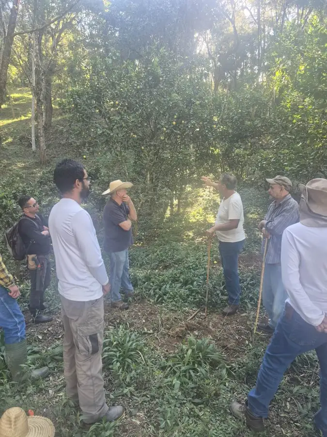 Turma reunida na agrofloresta durante aula prática